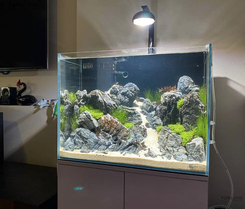 Jag Aquatics Grey Seiryu Rocks / Per Kg